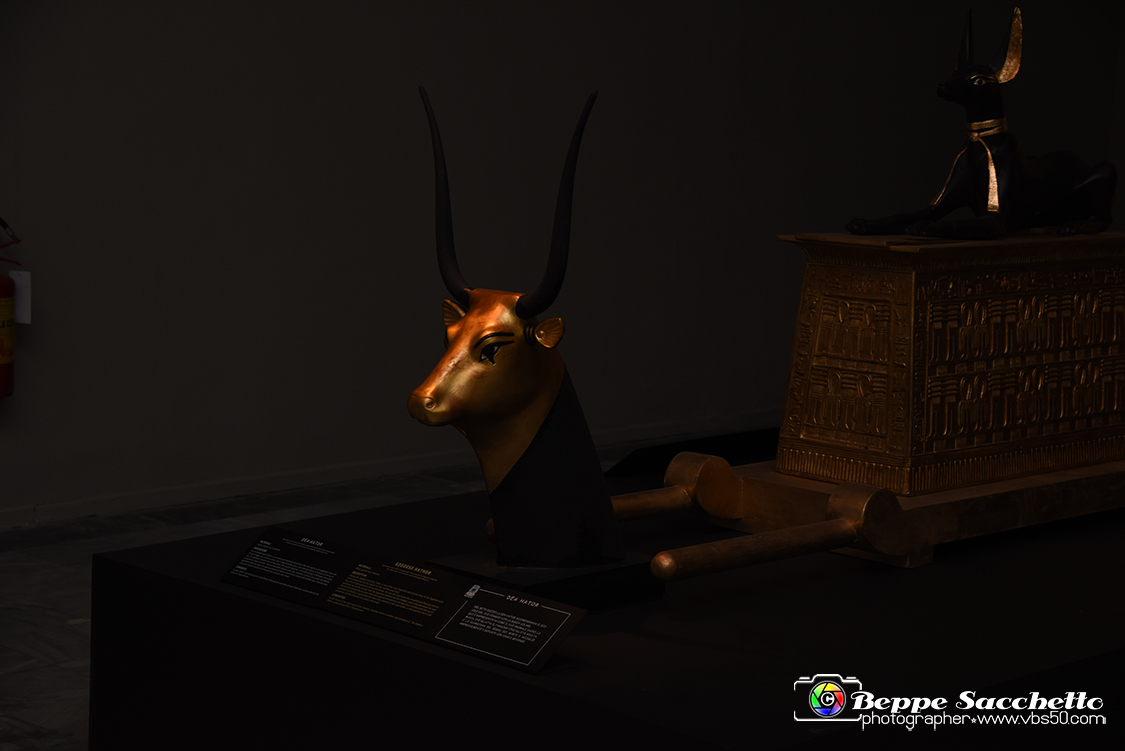 VBS_5188 - Tutankhamon - Viaggio verso l'eternità.jpg
